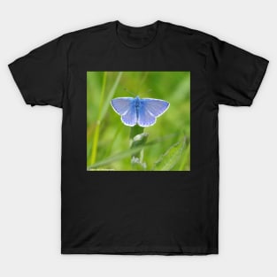 Common Blue butterfly T-Shirt